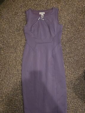 Sleeveless Purple Sheath Dress